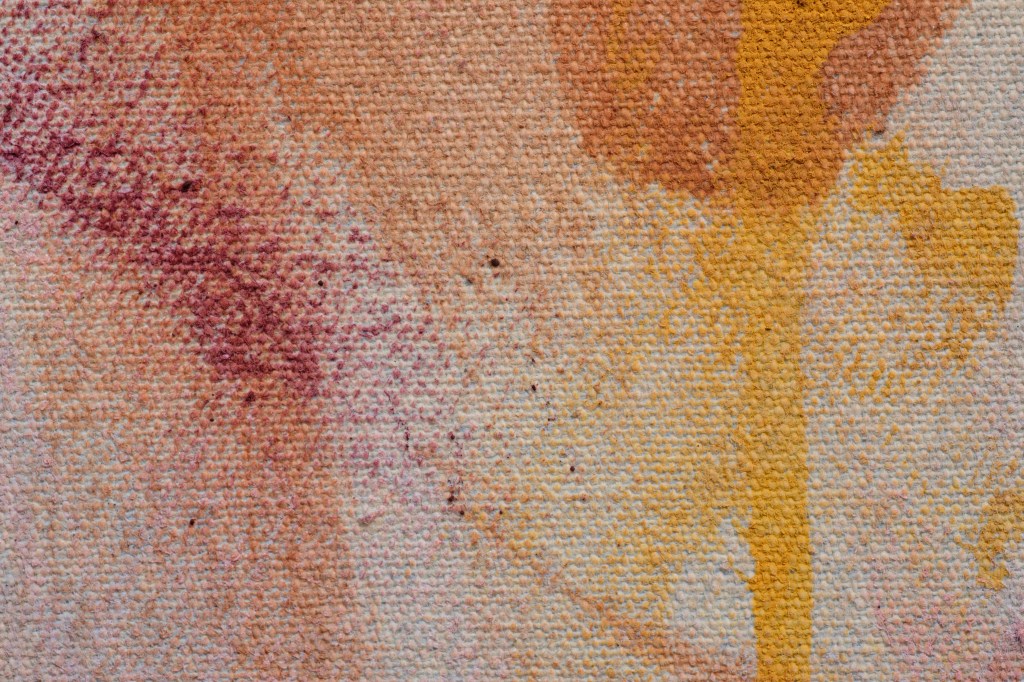 After the Gallop. Texture and color detail.